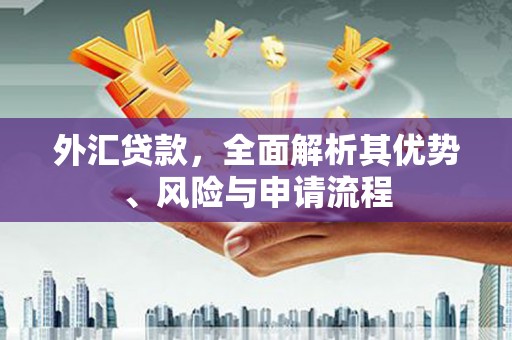 长泰外汇贷款，全面解析其优势、风险与申请流程