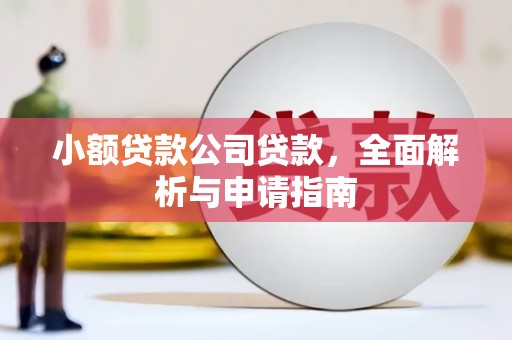 长泰小额贷款公司贷款，全面解析与申请指南