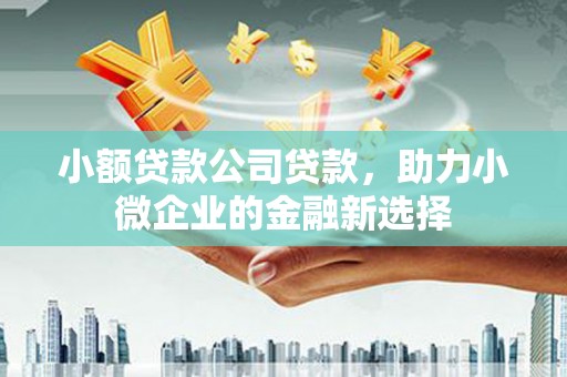 长泰小额贷款公司贷款，助力小微企业的金融新选择
