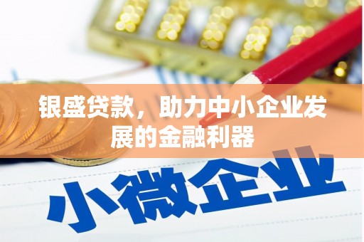 长泰银盛贷款，助力中小企业发展的金融利器