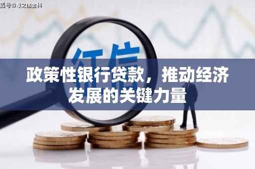 长泰政策性银行贷款，推动经济发展的关键力量