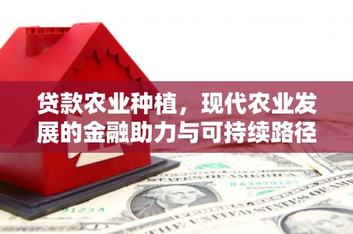 长泰贷款农业种植，现代农业发展的金融助力与可持续路径