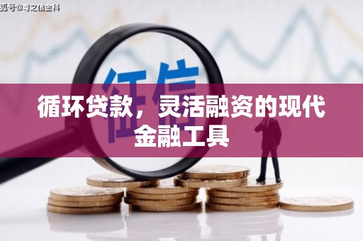 长泰循环贷款，灵活融资的现代金融工具