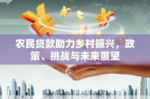 长泰农民贷款助力乡村振兴，政策、挑战与未来展望
