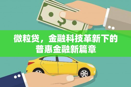 长泰微粒贷，金融科技革新下的普惠金融新篇章