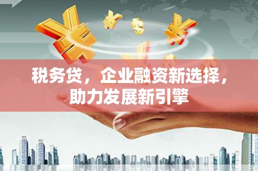长泰税务贷，企业融资新选择，助力发展新引擎