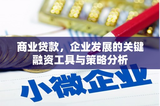 长泰商业贷款，企业发展的关键融资工具与策略分析
