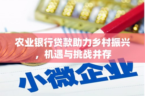 长泰农业银行贷款助力乡村振兴，机遇与挑战并存