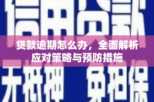 长泰贷款逾期怎么办，全面解析应对策略与预防措施