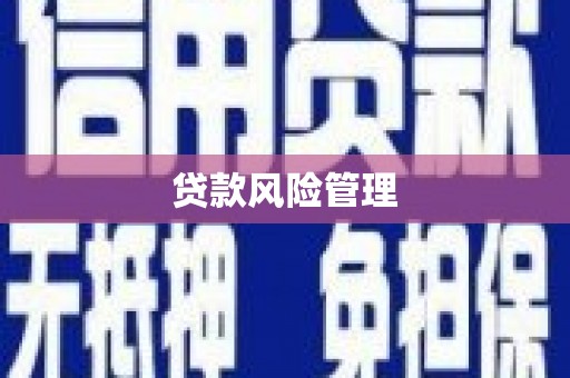 长泰贷款风险管理