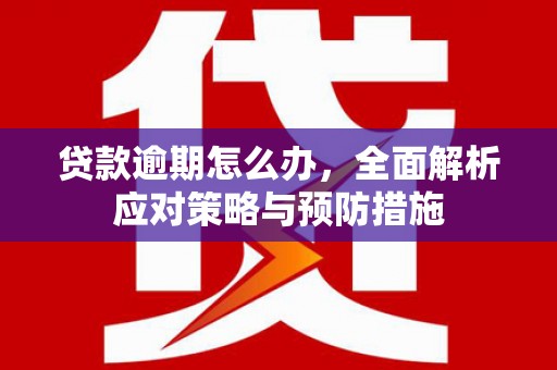 长泰贷款逾期怎么办，全面解析应对策略与预防措施