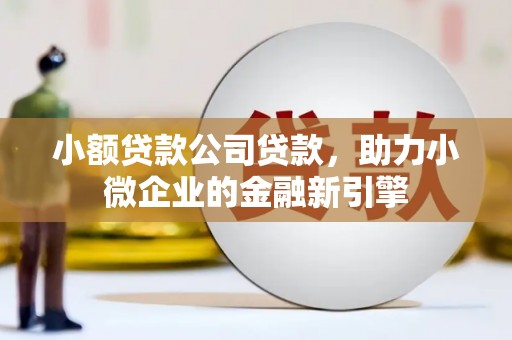 长泰小额贷款公司贷款，助力小微企业的金融新引擎