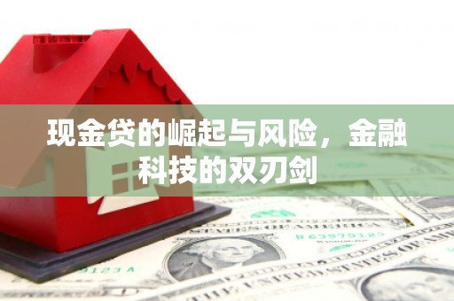 长泰现金贷的崛起与风险，金融科技的双刃剑