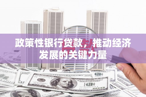 长泰政策性银行贷款，推动经济发展的关键力量