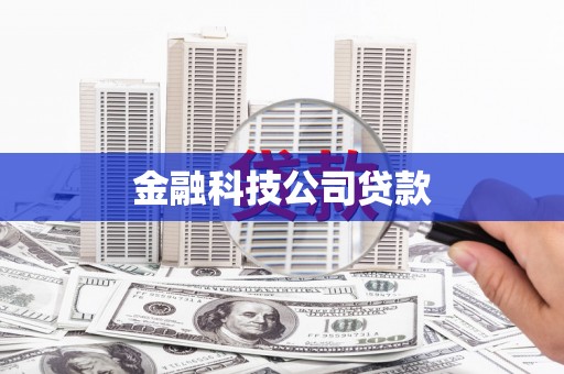 长泰金融科技公司贷款