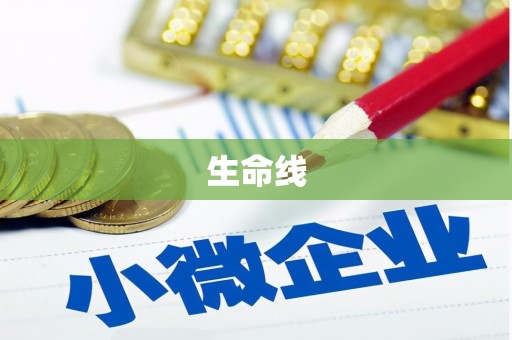 长泰生命线