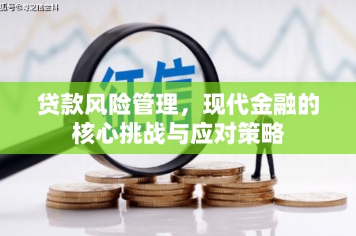 长泰贷款风险管理，现代金融的核心挑战与应对策略