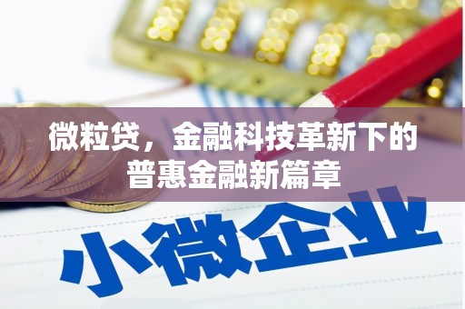 长泰微粒贷，金融科技革新下的普惠金融新篇章