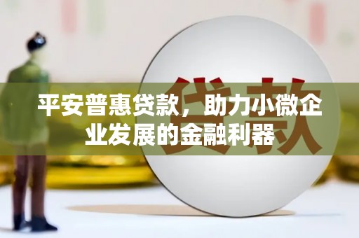 长泰平安普惠贷款，助力小微企业发展的金融利器