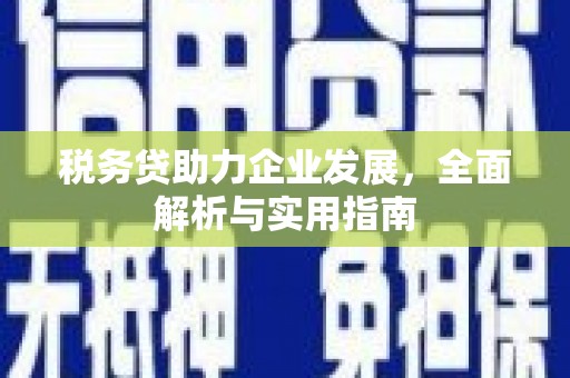 长泰税务贷助力企业发展，全面解析与实用指南
