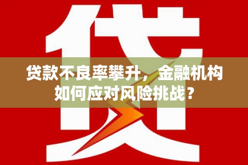 长泰贷款不良率攀升，金融机构如何应对风险挑战？