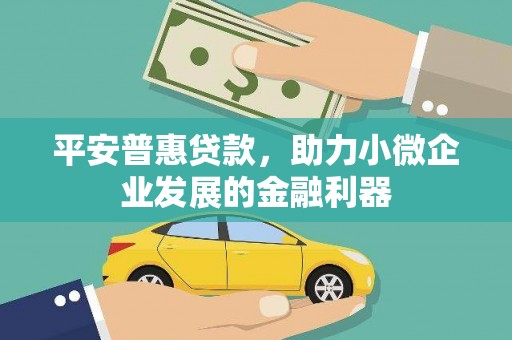 长泰平安普惠贷款，助力小微企业发展的金融利器
